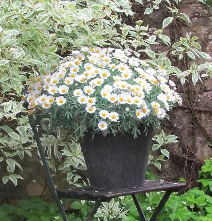 Apartamento Le Jardin Arras