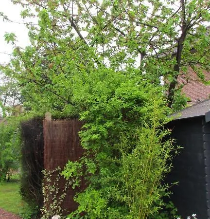 Le Jardin Arras