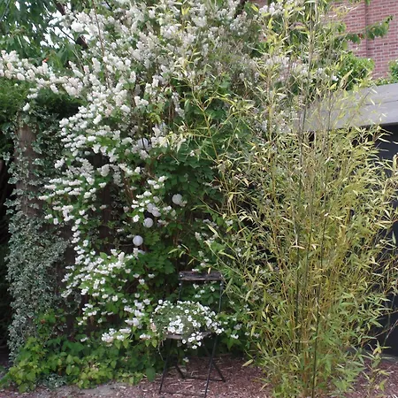 Appartement Le Jardin *